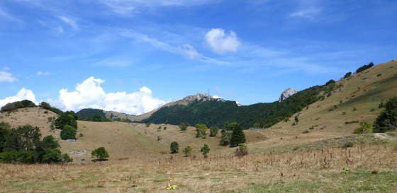 Le Grand Colombier