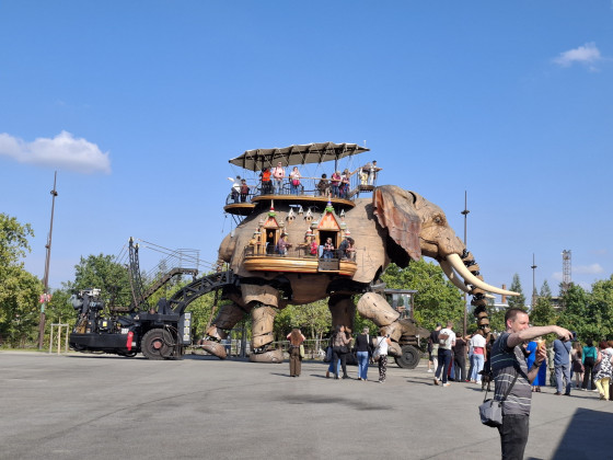 Le grand éléphant en promenade