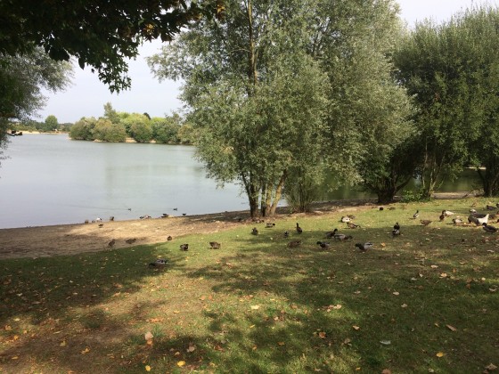 Le Grand Etang