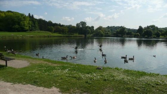 Le Grand Lac