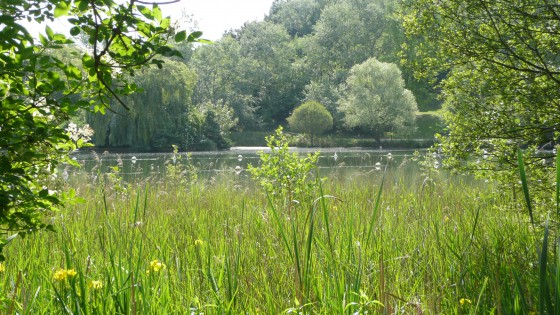 Le Grand Lac