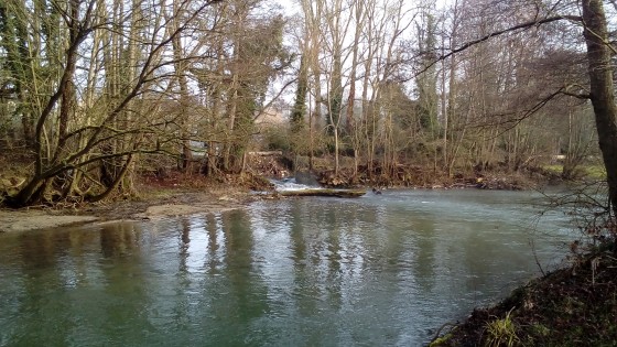Le Grand Morin