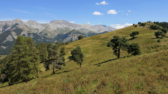 Le grand Puy en redescendant