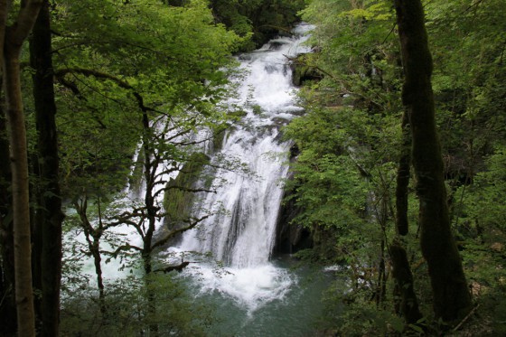 Le Grand Saut