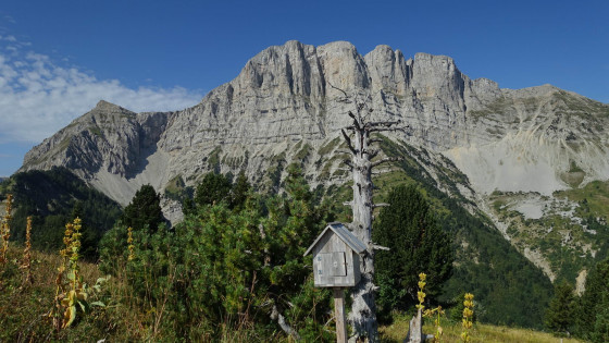Le grand Veymont depuis le sommet de la crête des Alleyrons