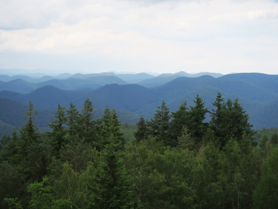 Vue depuis la tour du Grand Wintersberg