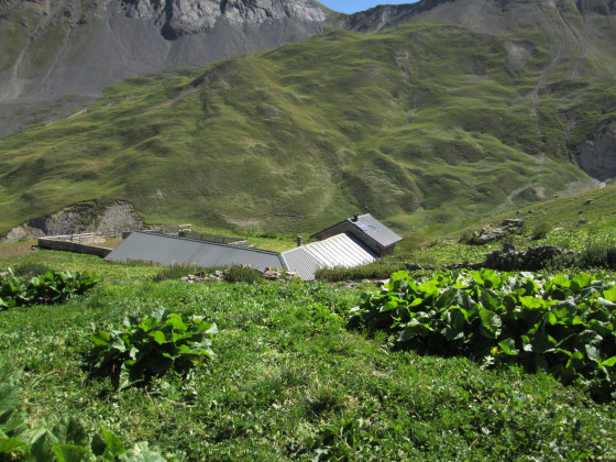 Le hameau de la Lauzette