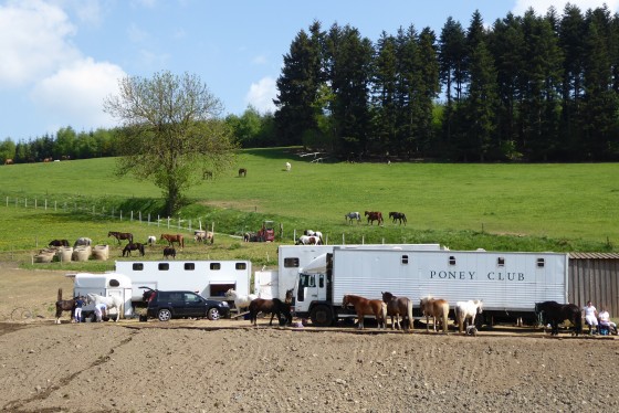 Le haras de Greloup...un jour de concours. (point 6 du circuit)