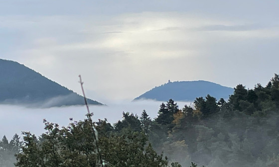 Le Haut Koenigsbourg sur sa mer de nuage depuis les abords du col de Fouchy