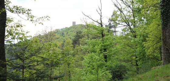 Le Haut-Ribeaupierre