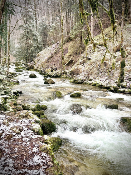 Le Hérisson près de la Maison des Cascades