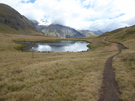 Le Jujal