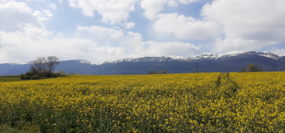 Le Jura