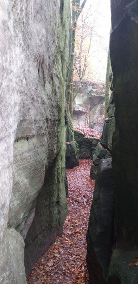 Le Labyrinthe