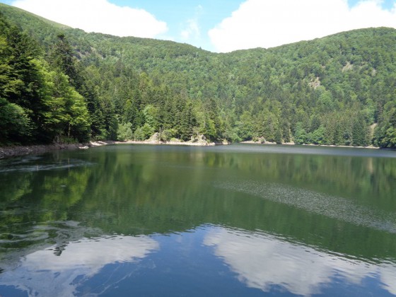 Le lac d\'Altenweiher