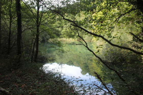 Le lac d'Olazaga