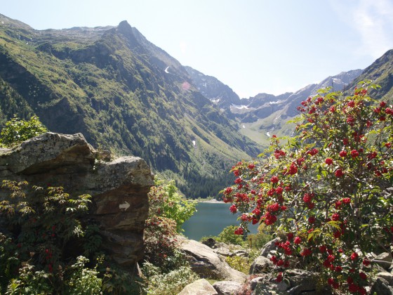 Le lac dans son écrin