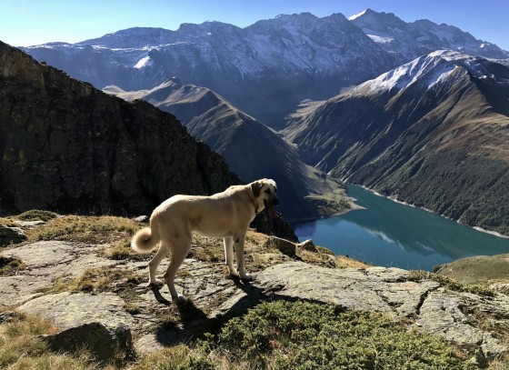 Le Lac de Grand'Maison en contrebas de celui de l'Âne