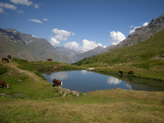 Le lac de l\'Arcelle