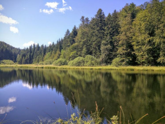Le Lac de la Fauge