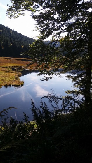 le lac de Lispach