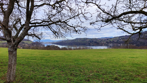 Le lac de Paladru