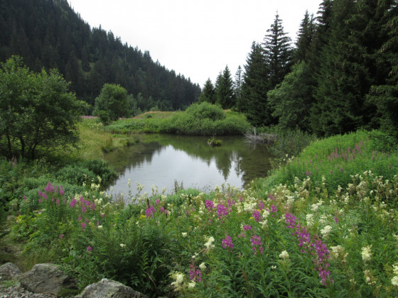 Le lac de Prévourey