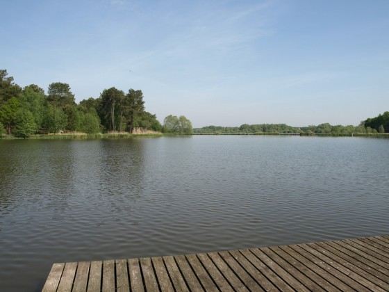 Le lac de Rill&eacute;