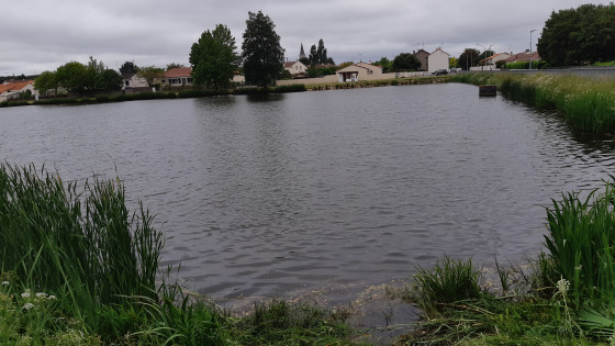 Le lac de Saint L&eacute;ger sous Cholet,