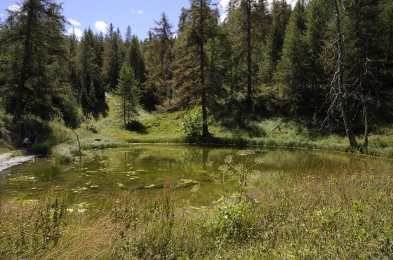 Le Lac des Charbonières