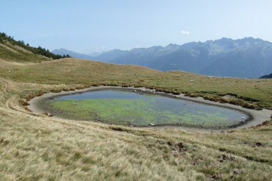 le lac des grenouilles vers le chalet d'Albarétan