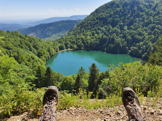 Paysage des Vosges