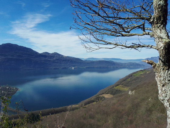 Le lac du Bourget