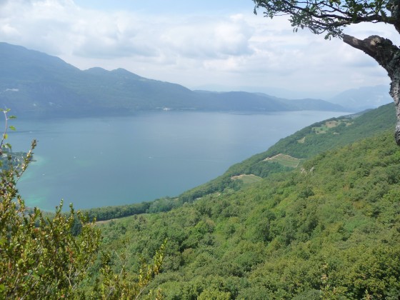 Le lac du Bourget