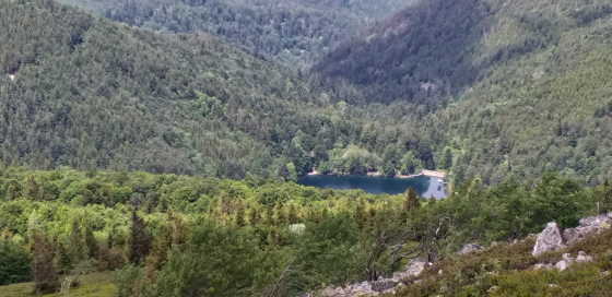 Le lac du Grand Ballon