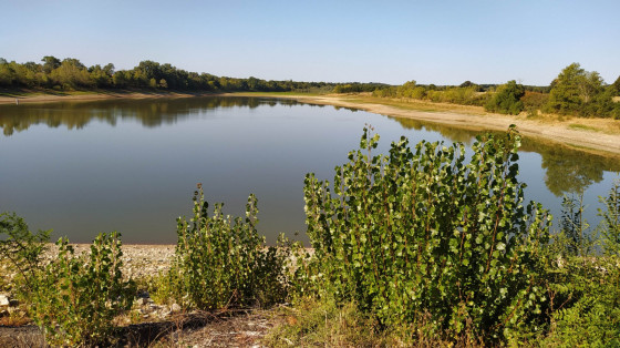 le lac en été
