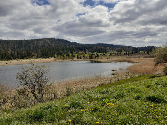 Le lac et sa tourbière
