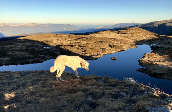 Le Lac Fourchu au lever du soleil