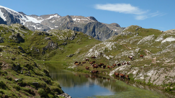 Le lac Lerié