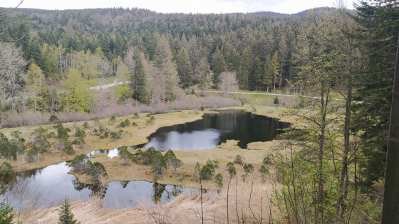 Le lac Luitel