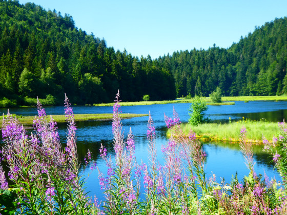 Le lac par beau temps en été