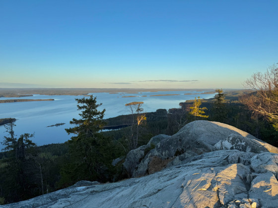 Le lac Pielinen depuis le sommet d'Ukko-Koli