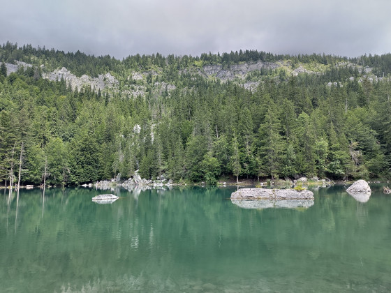 Le lac vert
