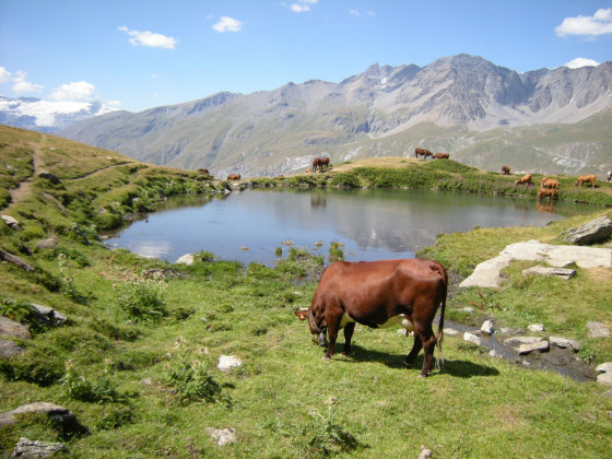 Le lac