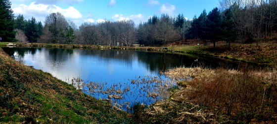 Le lac