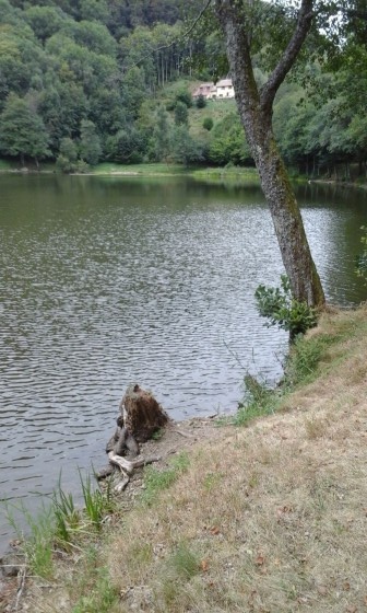 Le Lachtelweiher