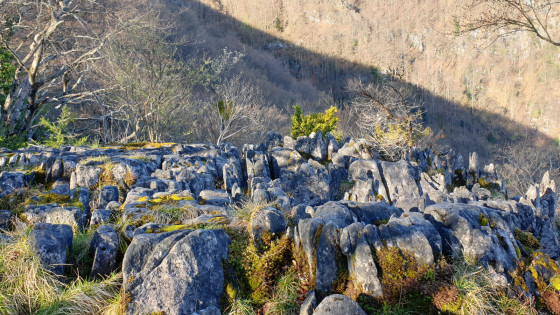 Le lapiaz de Calihourc et ses Couhéssadéres (confessionnaux) Le lapiaz de Calihourc et ses Couhéssadéres (confessionnaux)