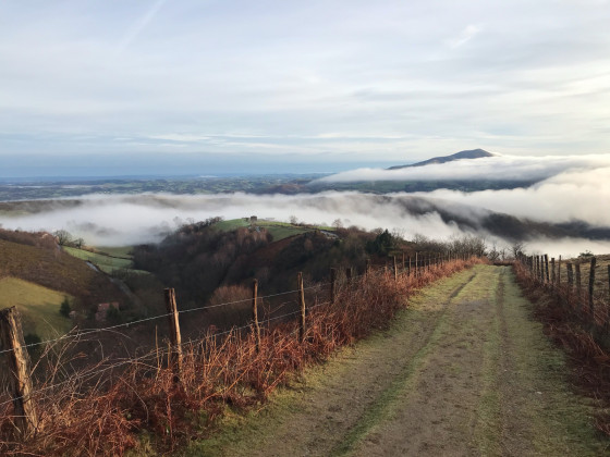 Le large chemin de départ