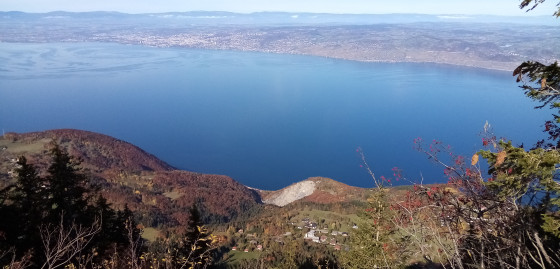 Le Léman