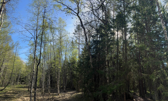 Le Limes Norrlandicus en une image